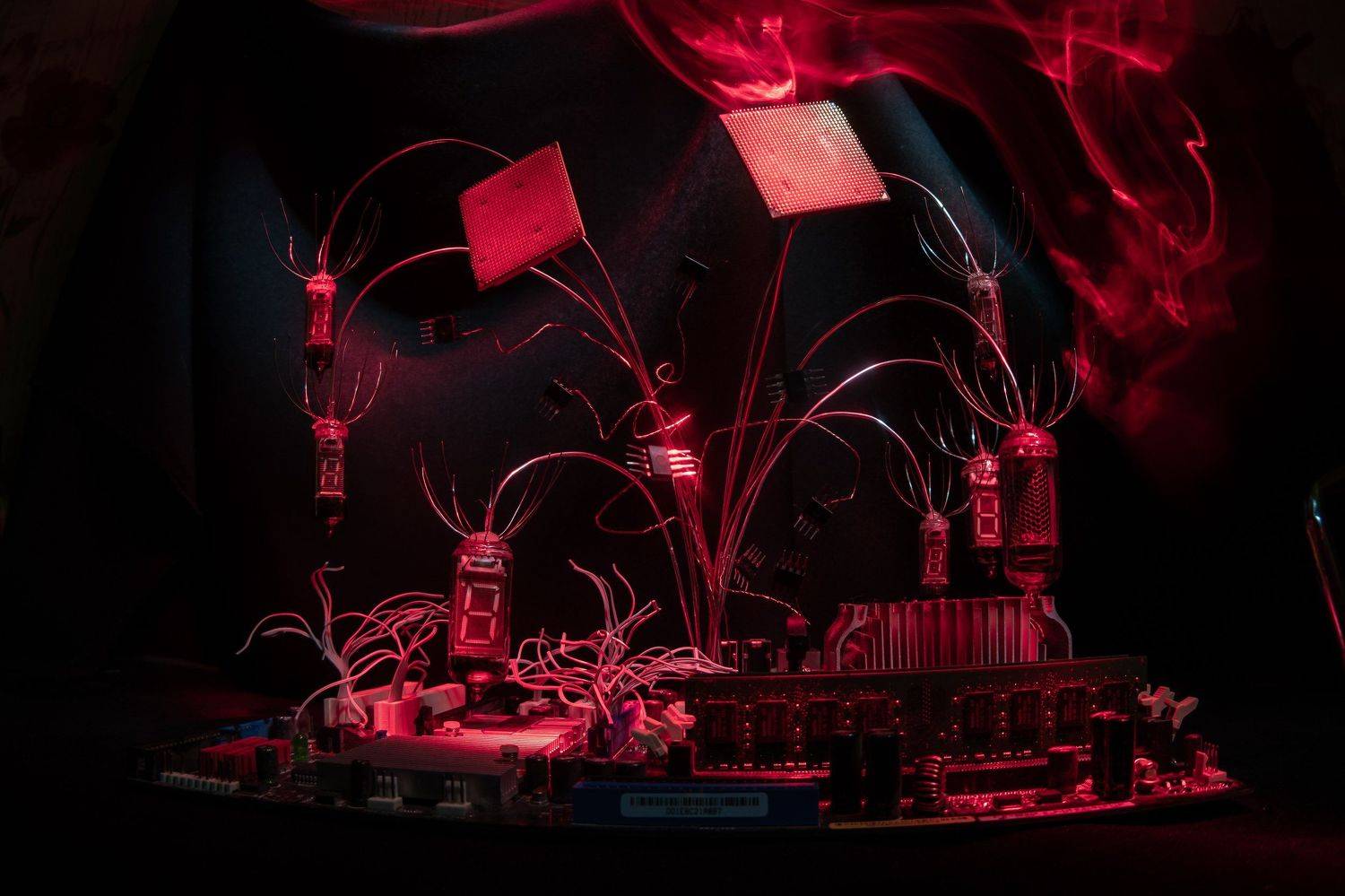 pavelskvortsov, Pavel Skvortsov