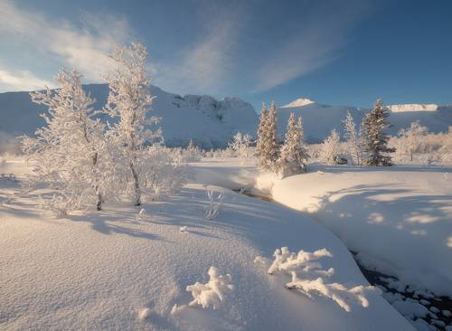 Малый Вудъявр