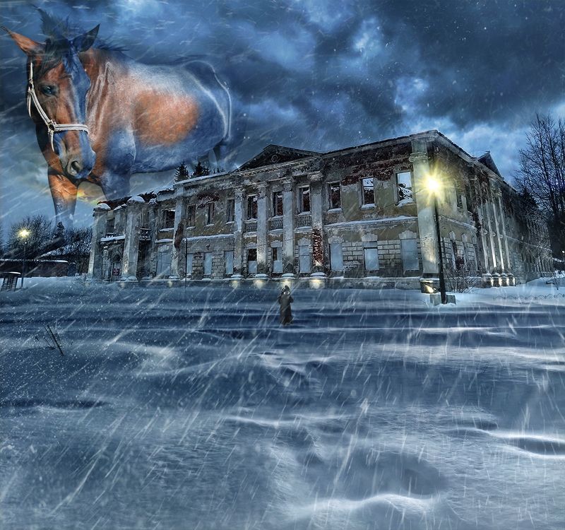 Зимние стражи Усадьбы... фото превью