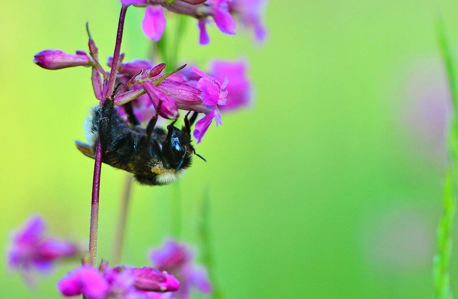 , Юлия Абрамова