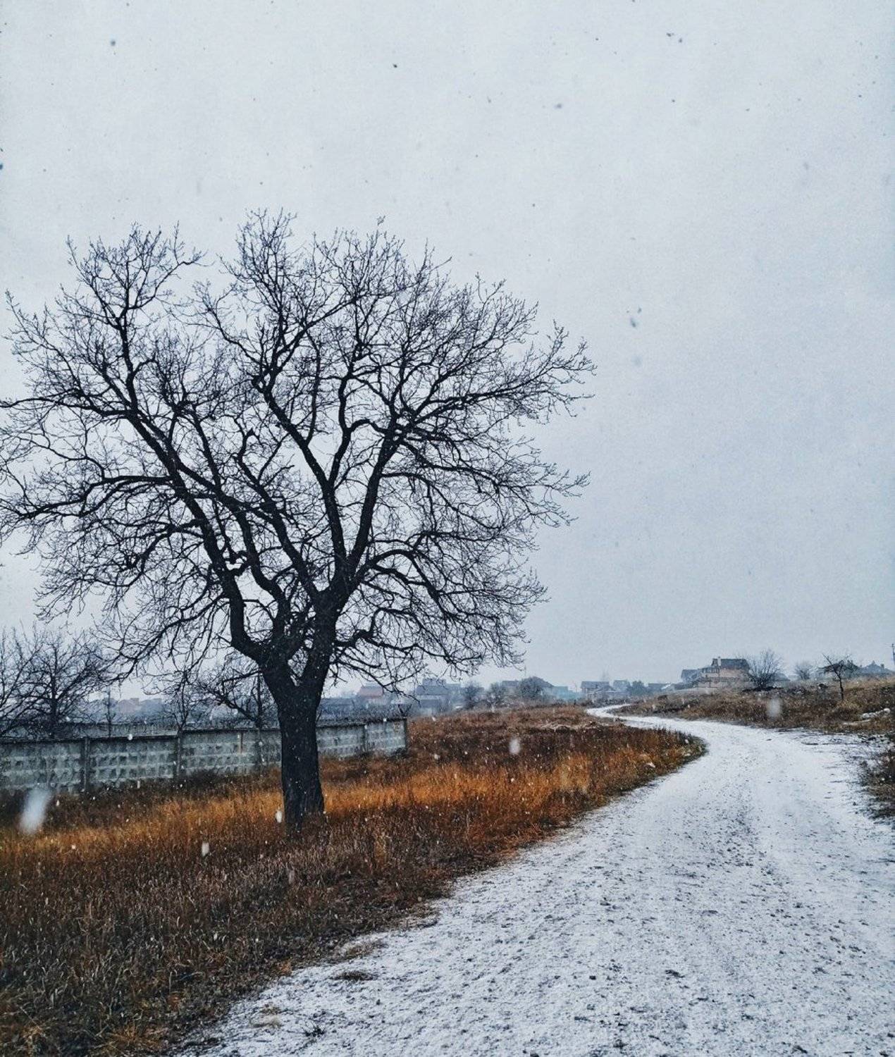 зима, Подойницин Геннадий