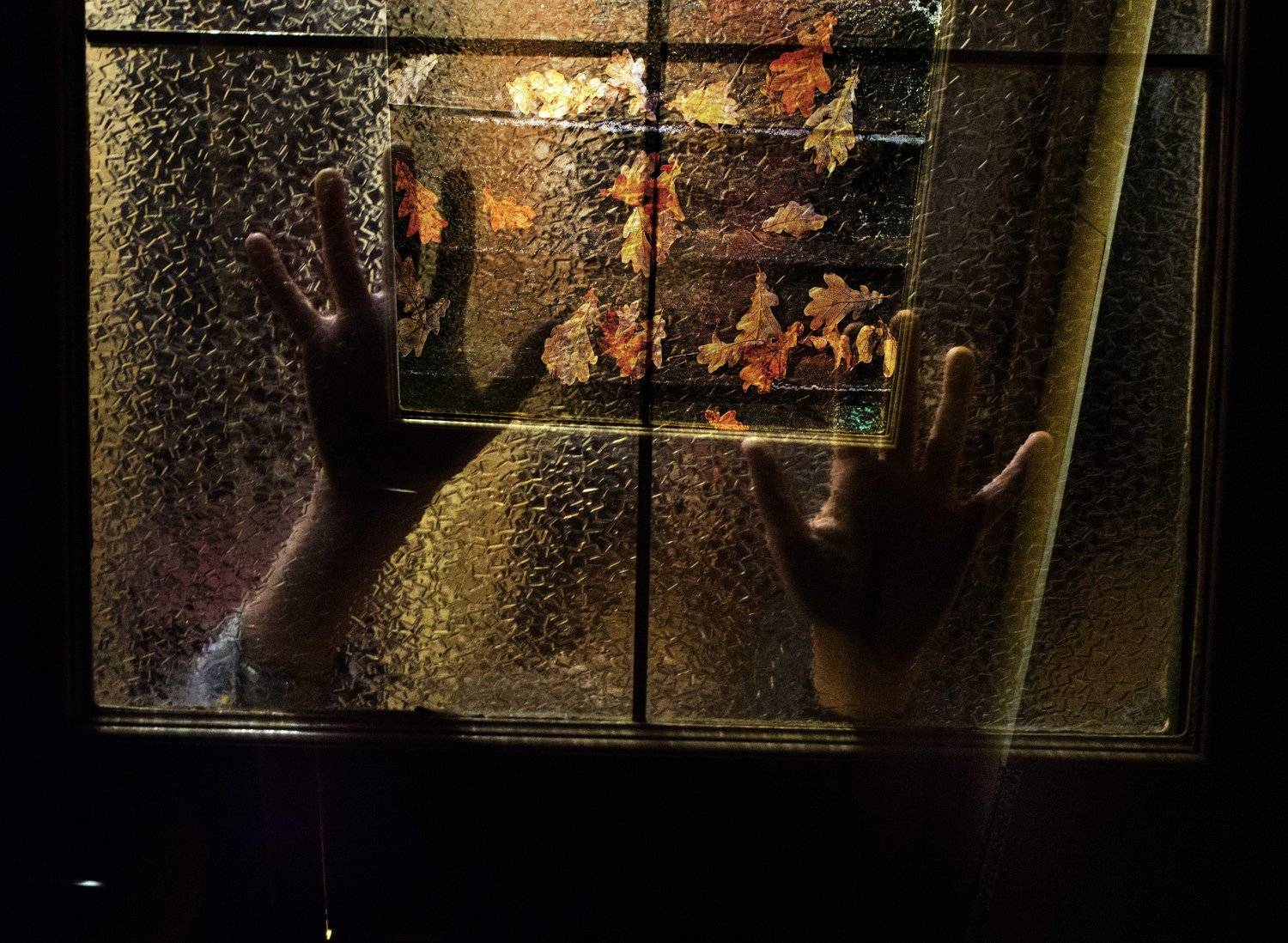 , Лариса Лофицкая