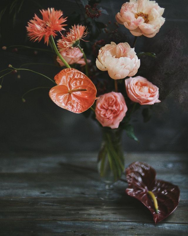 букет, пионы  фото превью