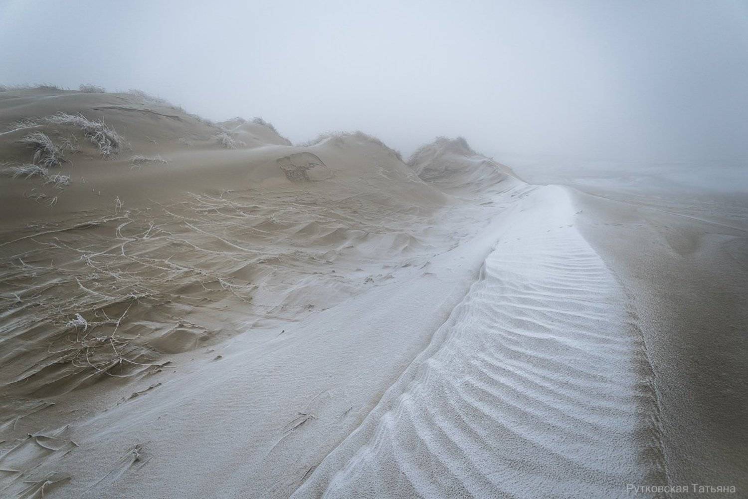 , Татьяна Рутковская