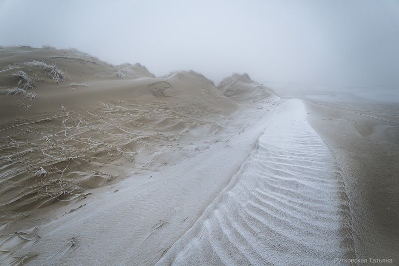 Хребет дракона фото превью