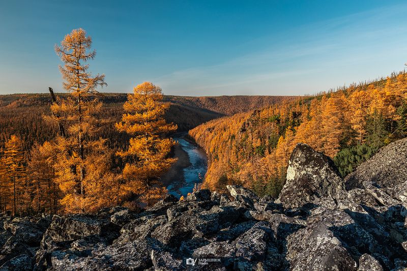 Якутия, Саха, Нерюнгри, Чульман, Осень, Природа, Тайга, Дальний восток, Сибирь Любимая Чульман  фото превью
