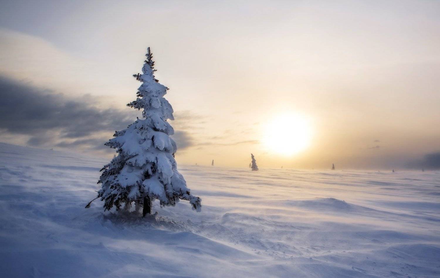 , Vyacheslav Lozhkin