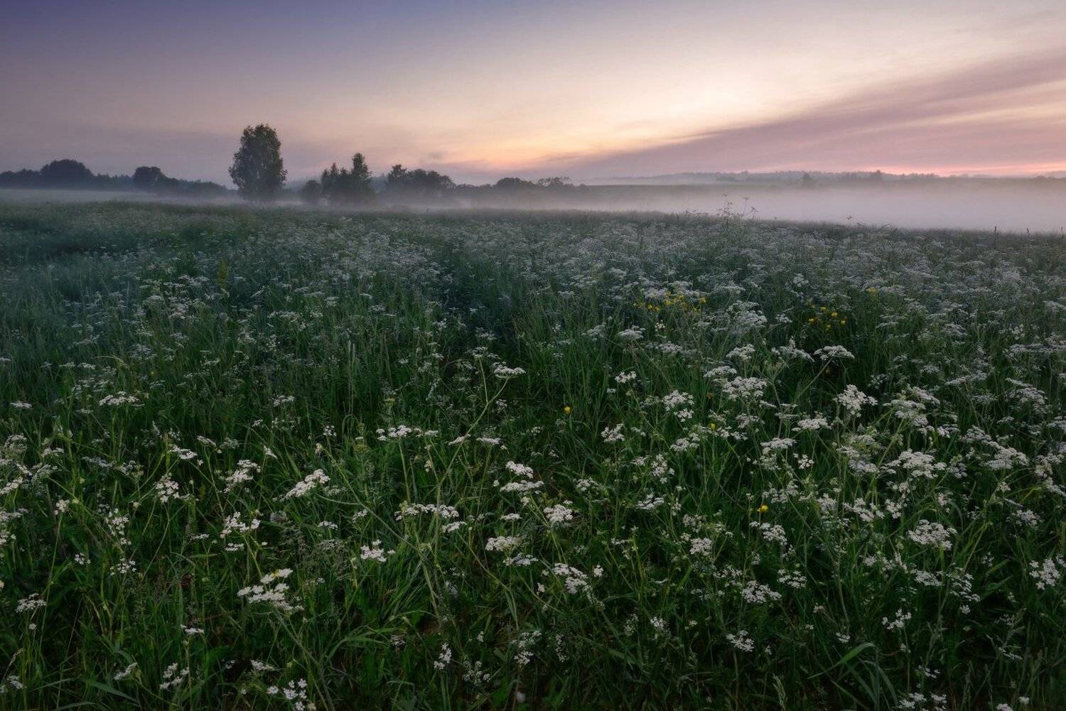 , Максим Евдокимов