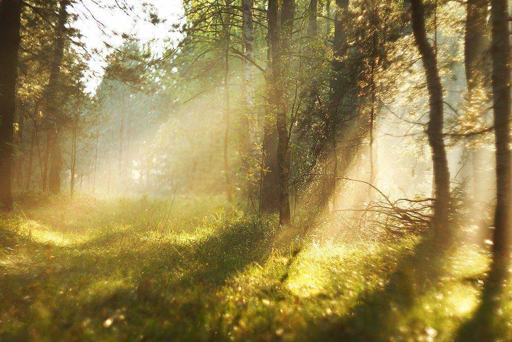 , Владислав.