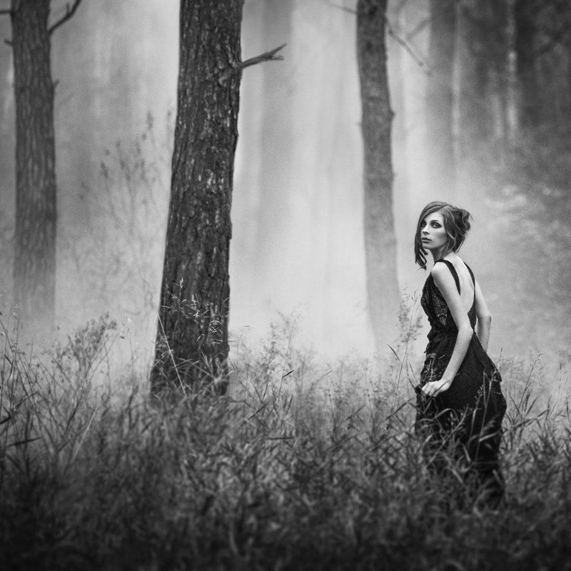 in a dream фото превью