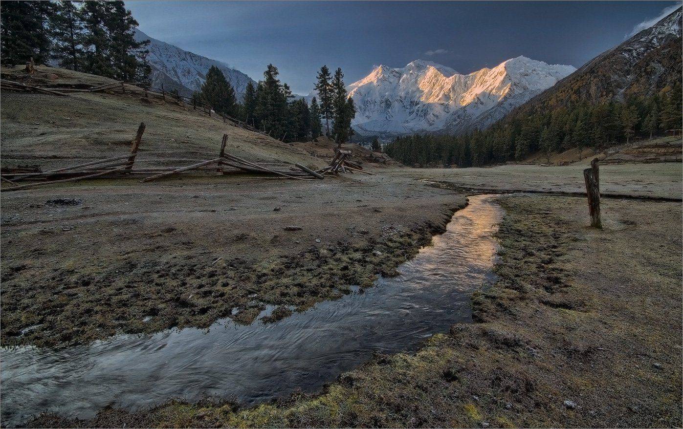 , Алексеевич