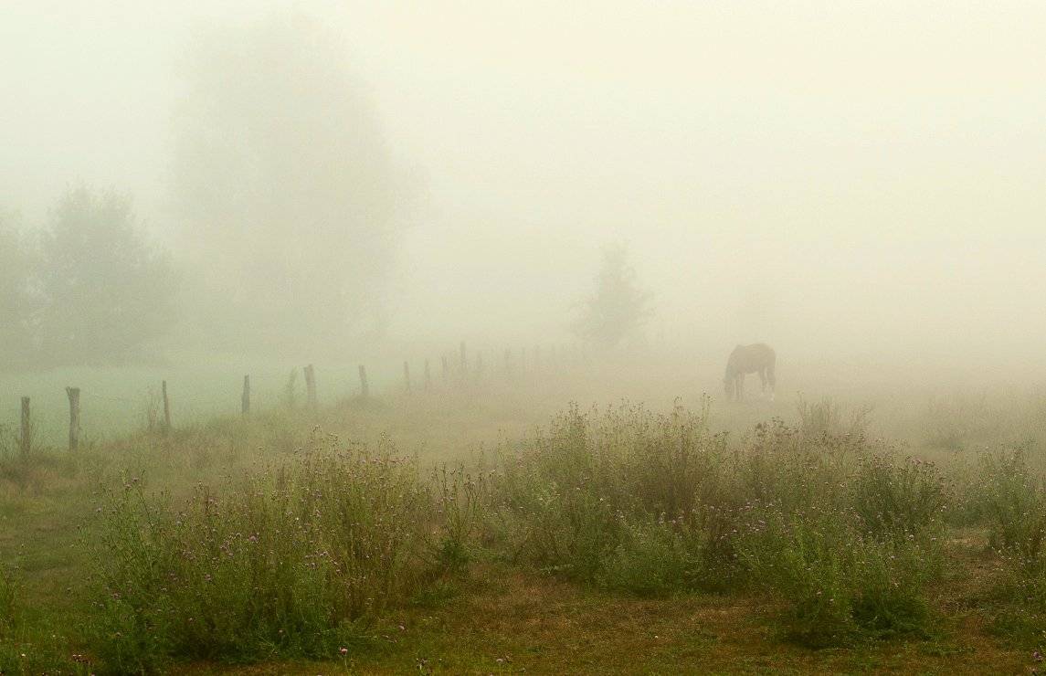 , Валерий Смирнов