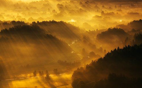 Misty Landscapes