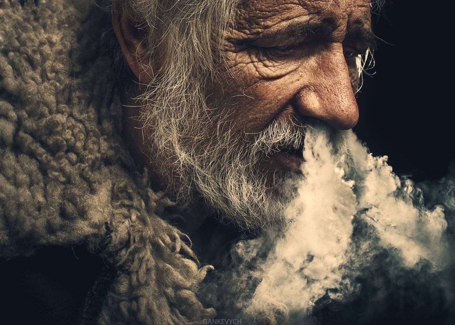 , Тарас Ганкевич