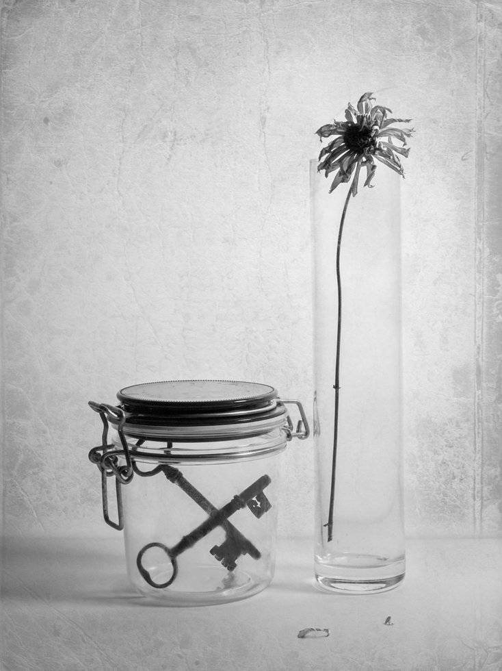 , Людмила Прокофьева