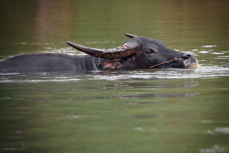 Жара фото превью