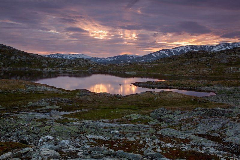 norway, sunset, горы, закат, норвегия, озеро Озеро-привидение фото превью