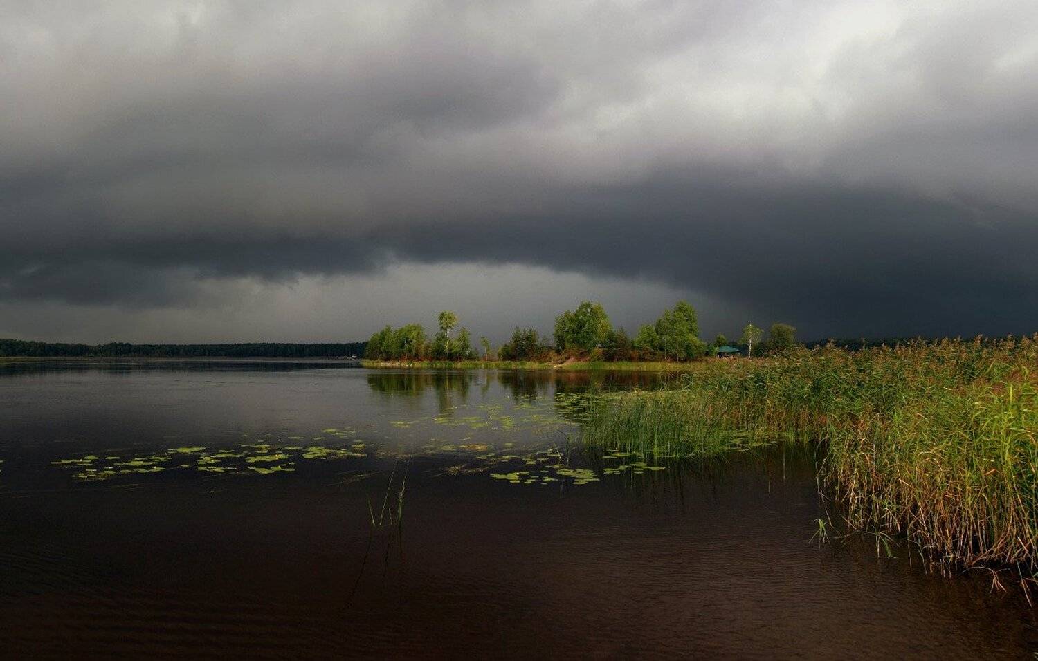 , Александр Нагибин