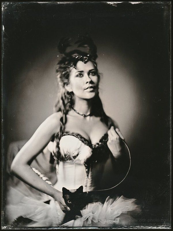 Dark Circus фото превью