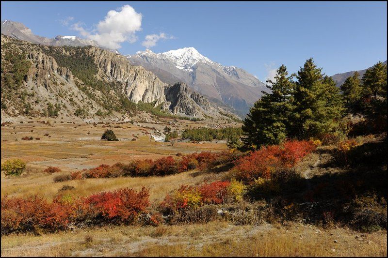 Осенние Гималаи фото превью