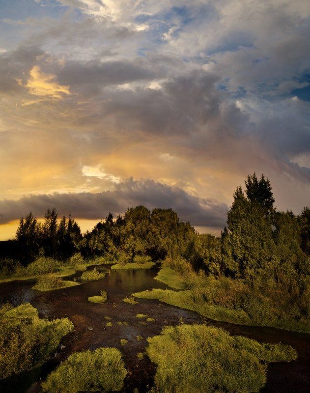 *** фото превью