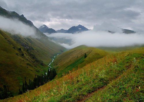 Дождливое лето Тянь-Шаня