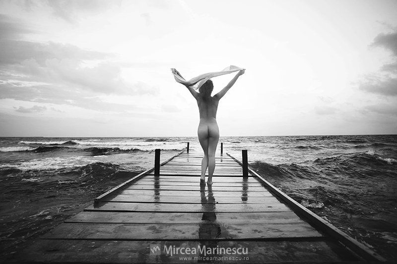 Freedom фото превью