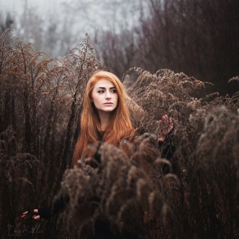 Queen of the Elves фото превью