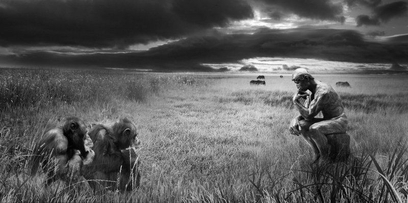 Thoughts About Art фото превью