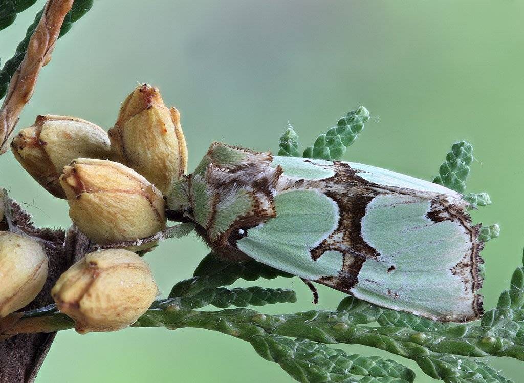 , Сергей Таланов