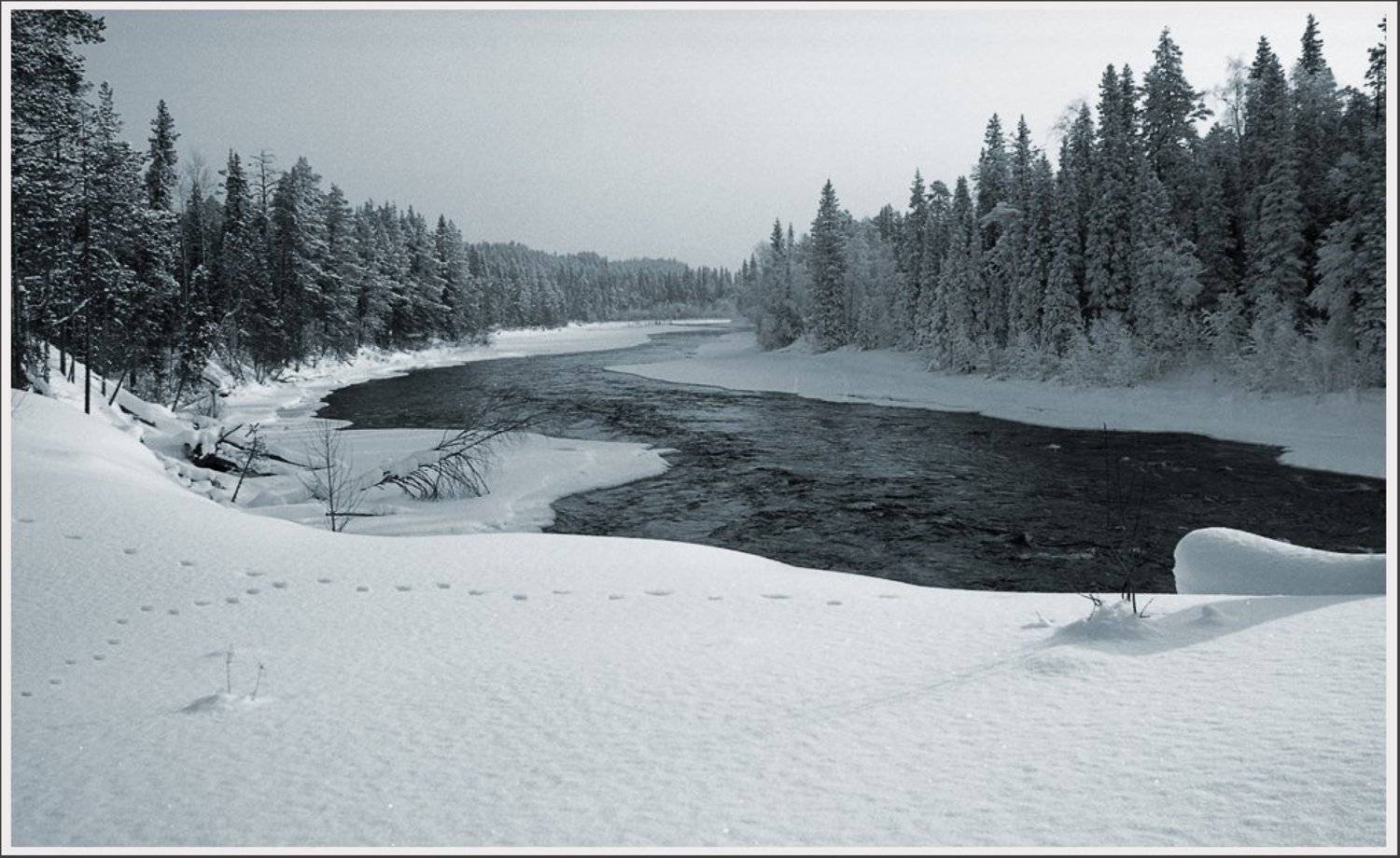 , Сергей Захаров.