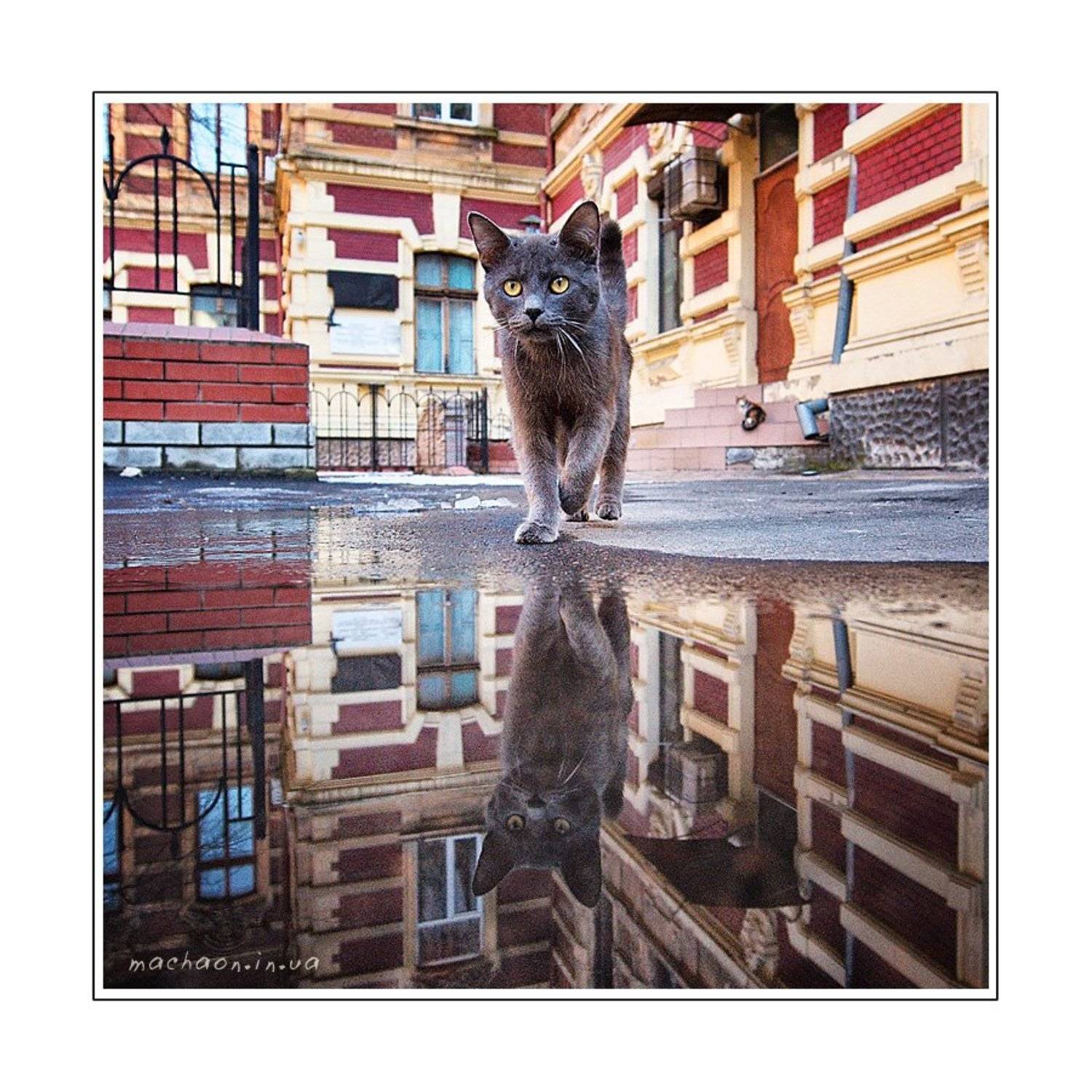 , Юрий Бершадский