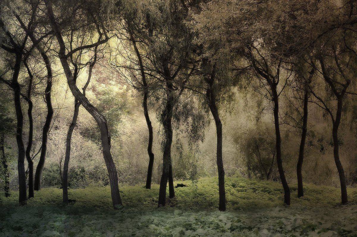 , Михаил  Пилипенко