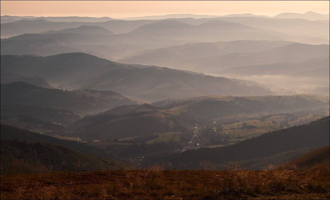 , Полищук И.В.