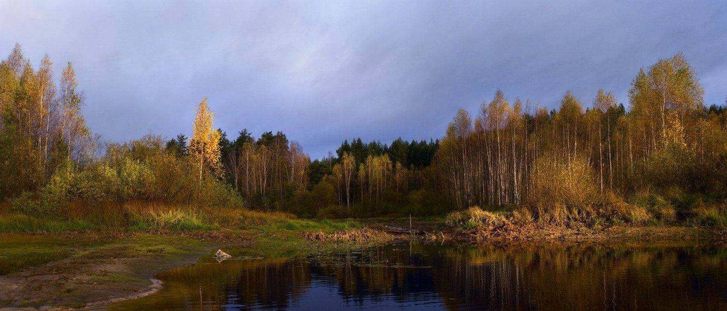 , Дмитрий Алексеев