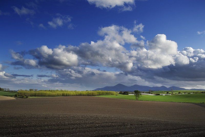 Ulster Landscape фото превью