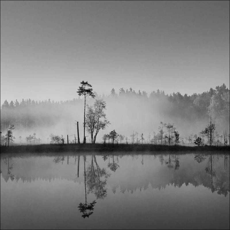 Long island фото превью