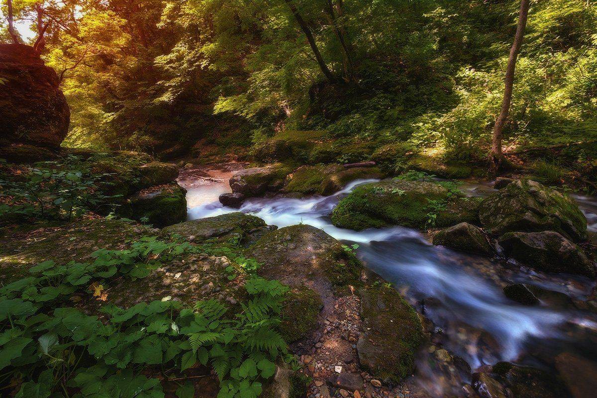 , Андрей Кровлин