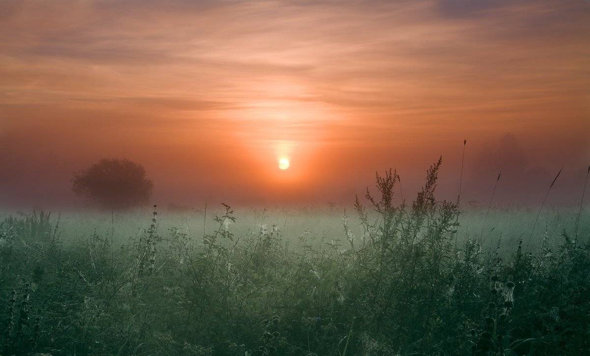 , Николай Морский