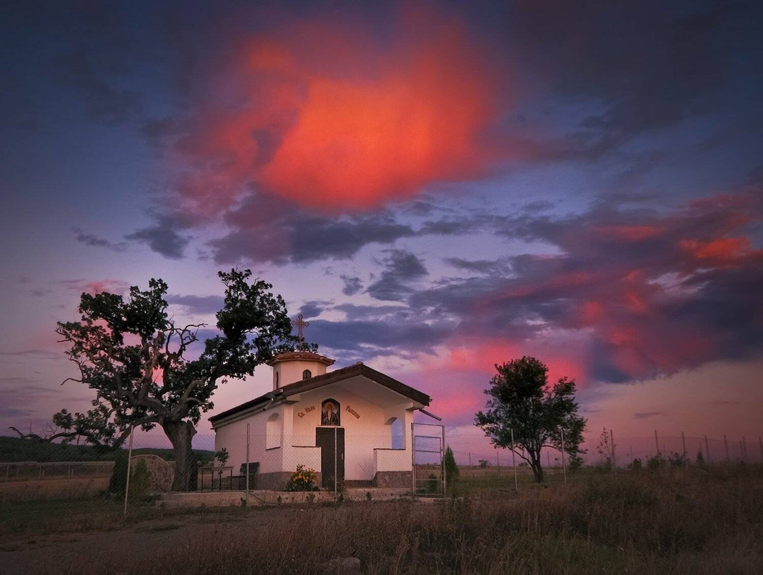 , Ирина Костова