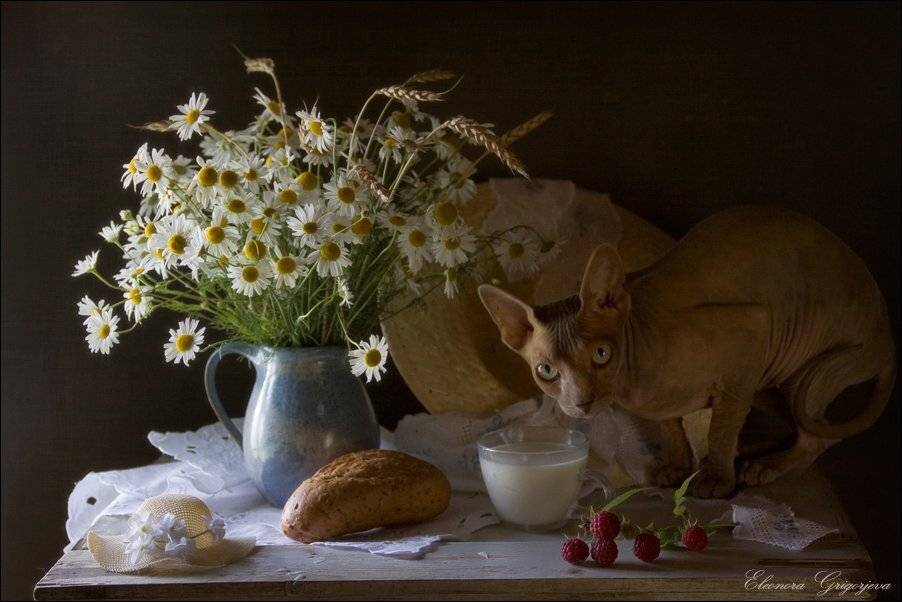 , Eleonora Grigorjeva