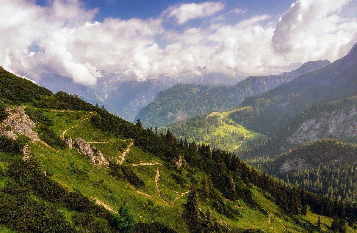 , Игорь Мелекесцев