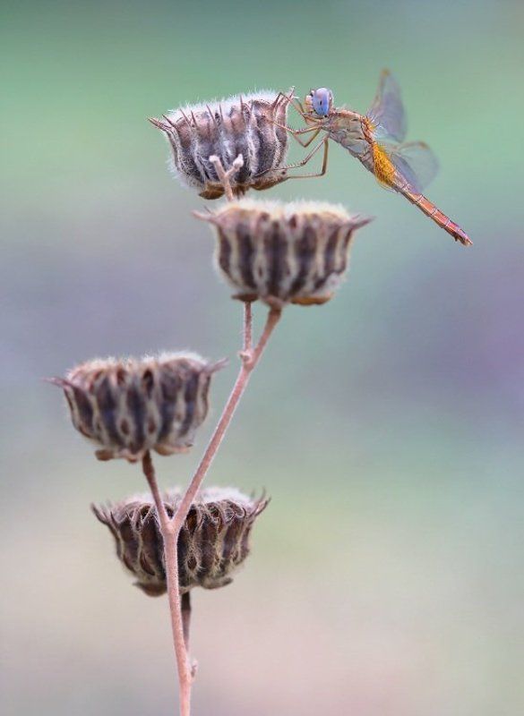 Этажи фото превью