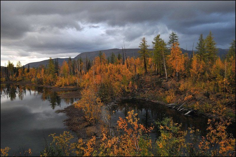 Осенний бал фото превью
