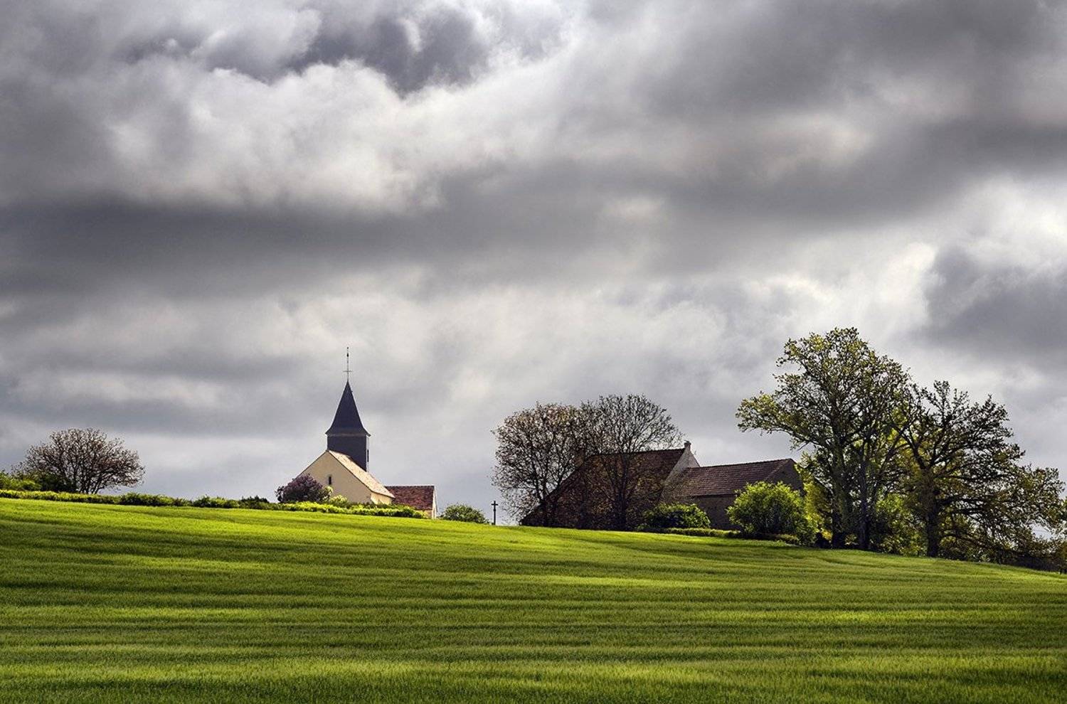 , Danny Vangenechten