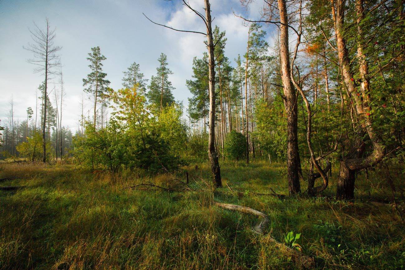 , Владимир Ляпин