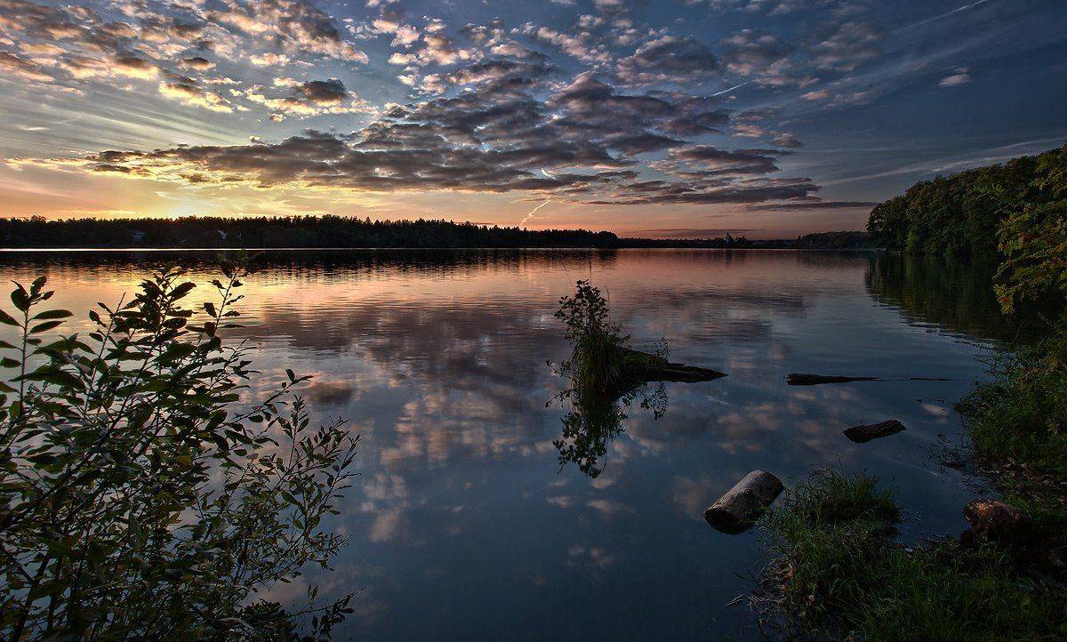 купавна., бисерово., Андрей Леонидович