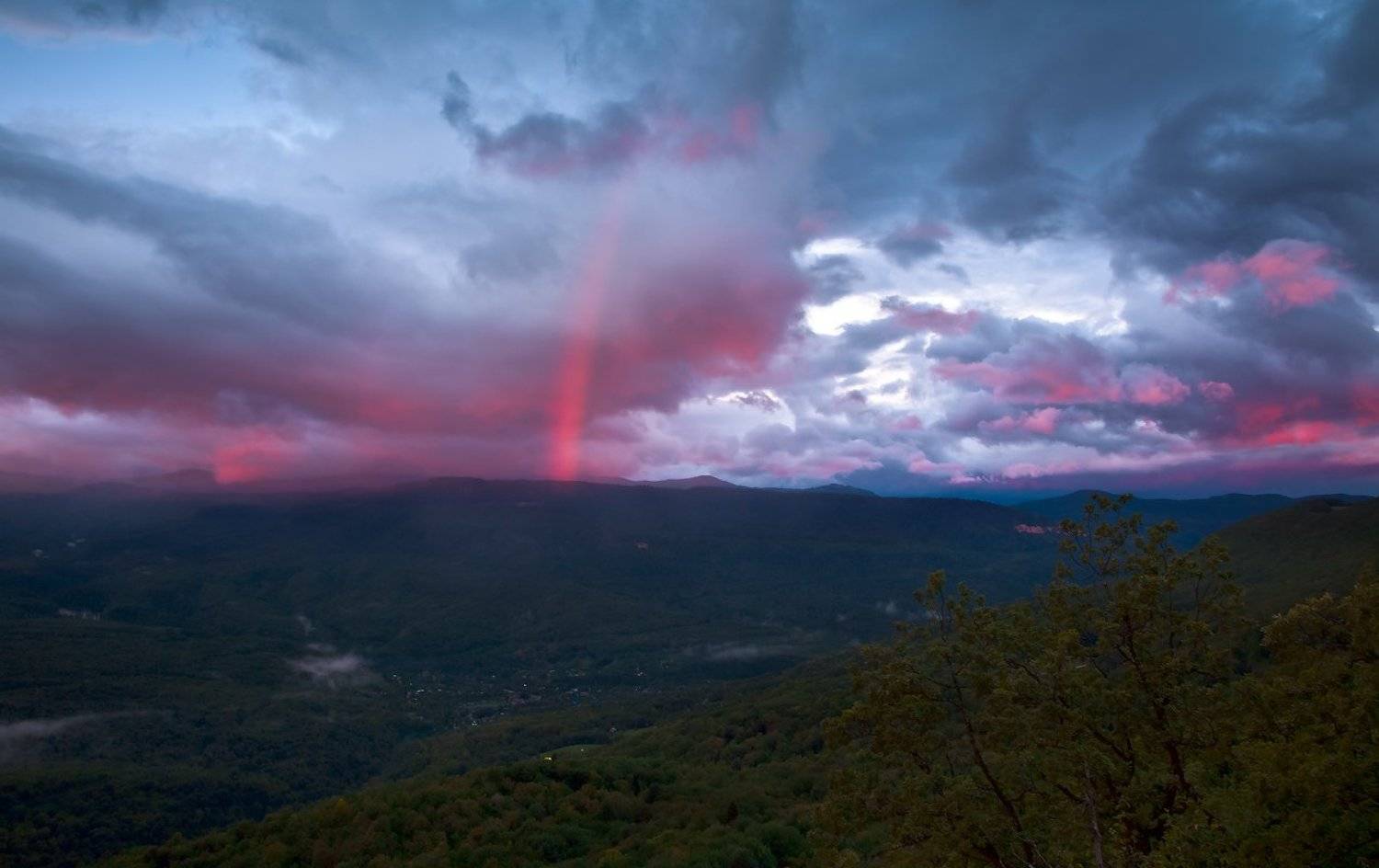 , Ирина Заграничная