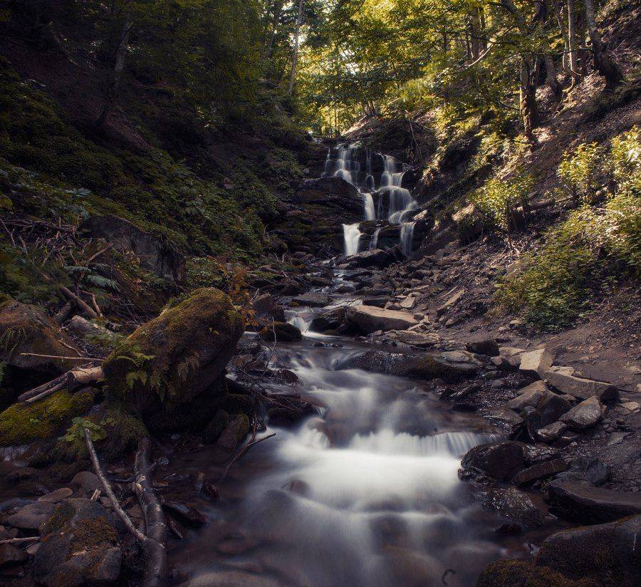 , Полищук И.В.