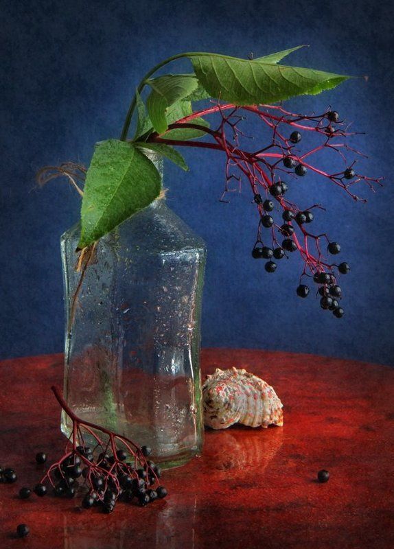 Облетает бузина фото превью